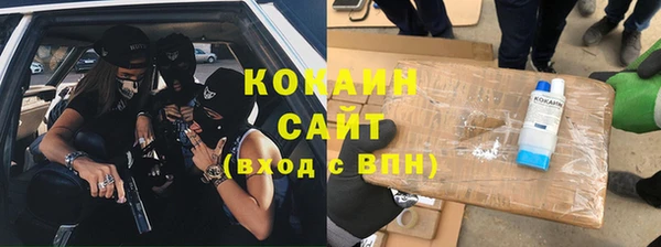 дмт Пересвет