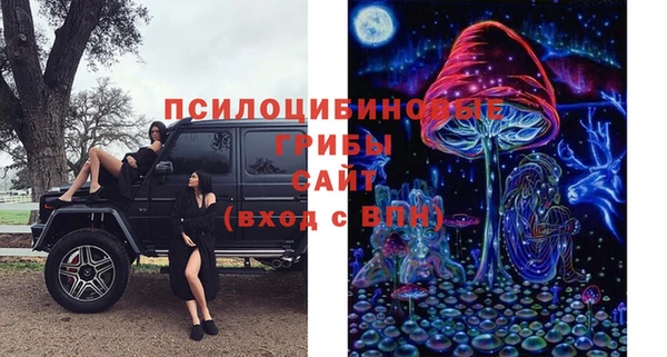 прущая мука Абаза