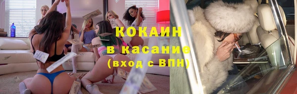 прущие грибы Алзамай