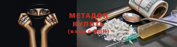 прущие грибы Алзамай